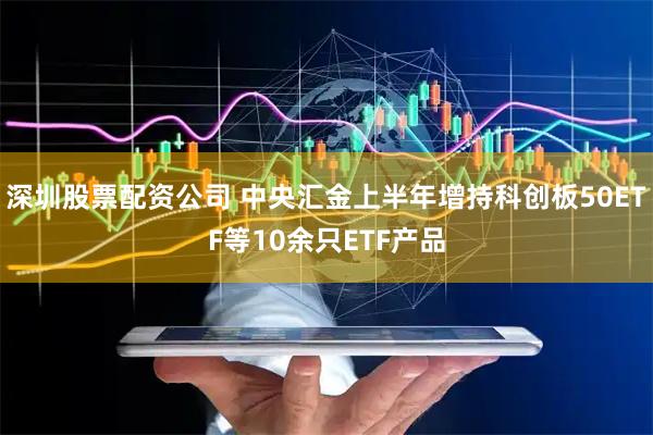 深圳股票配资公司 中央汇金上半年增持科创板50ETF等10余只ETF产品