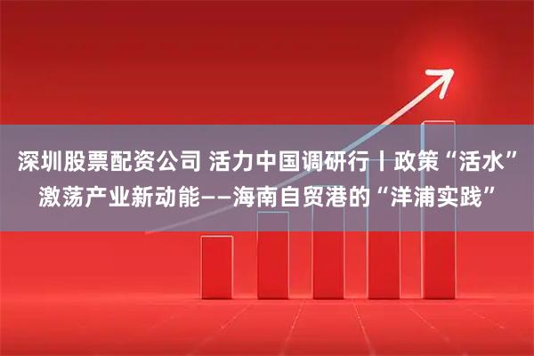深圳股票配资公司 活力中国调研行丨政策“活水”激荡产业新动能——海南自贸港的“洋浦实践”