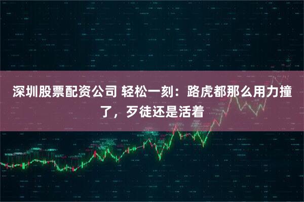 深圳股票配资公司 轻松一刻：路虎都那么用力撞了，歹徒还是活着