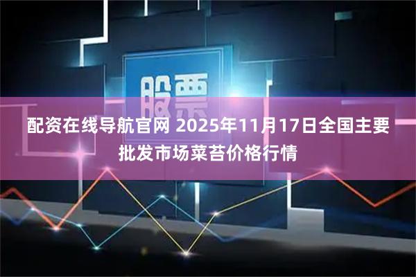 配资在线导航官网 2025年11月17日全国主要批发市场菜苔价格行情