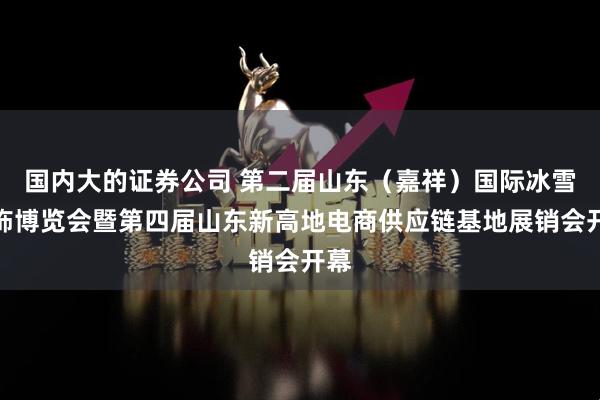 国内大的证券公司 第二届山东（嘉祥）国际冰雪服饰博览会暨第四届山东新高地电商供应链基地展销会开幕
